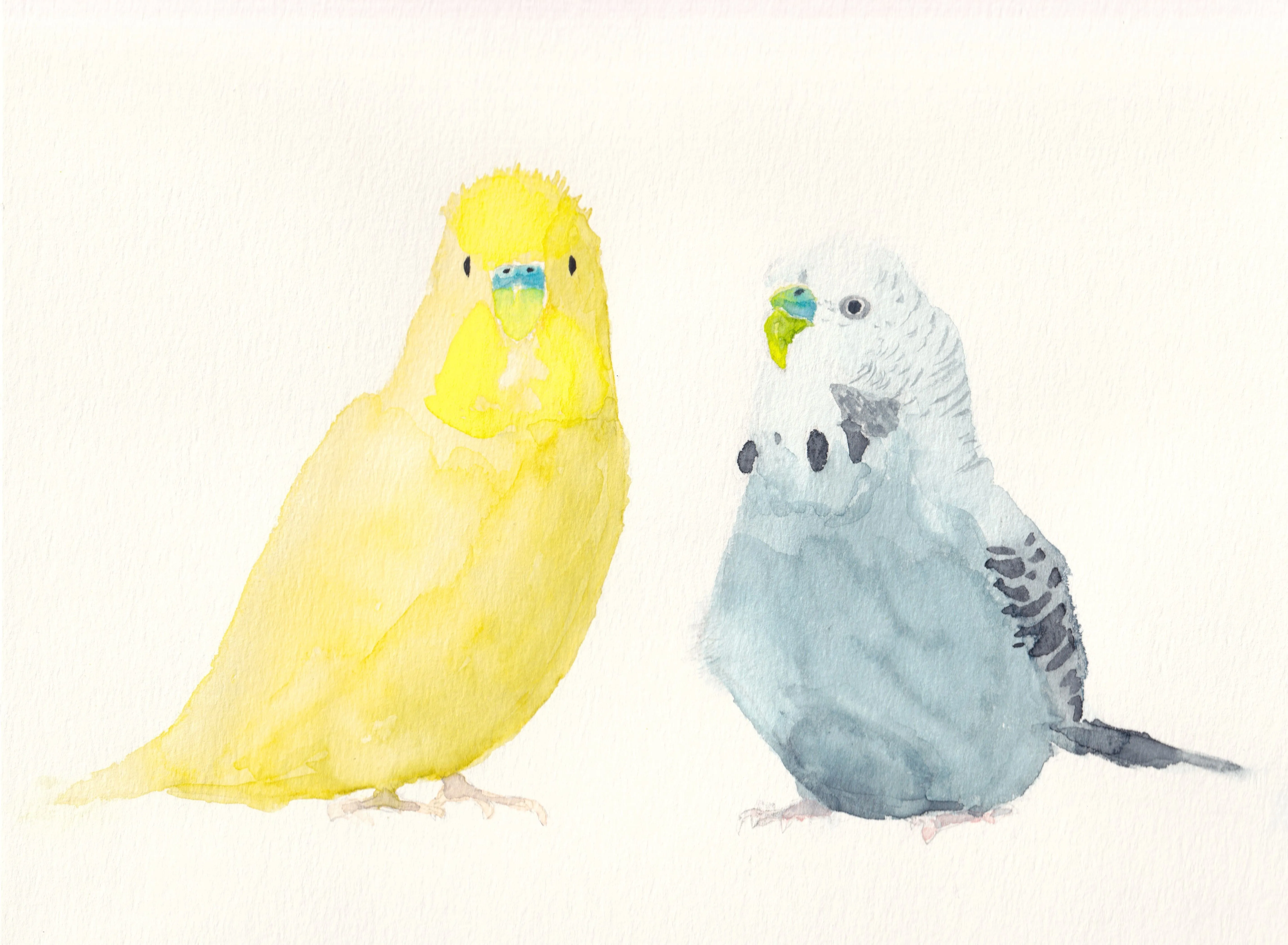 Thumbnail of 幸せな南の鳥